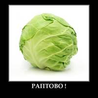 44854