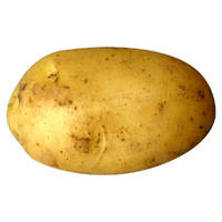 30467