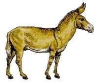 12852