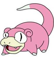 8546