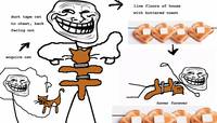 227874