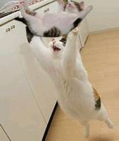 17317