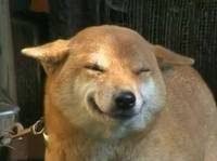 21192