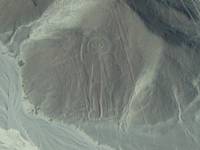 146198
