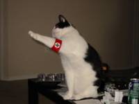 14396