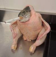 34664