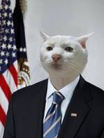 23314
