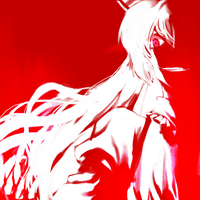 171294