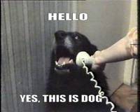 38436