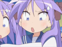 229462
