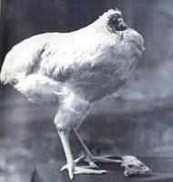 11766