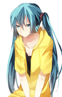 503605