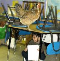 13199